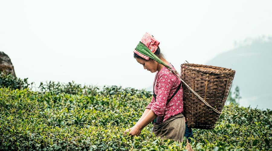 Offbeat Places In North Bengal You Can’t Afford To Miss.